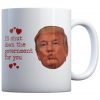 I'D SHUT THE GOVERNMENT FOR YOU KISS - COFFEE MUG