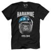 Harambe 1999-2016