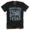 Snowflakes in Texas