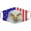 Eagle Flag Face Cover