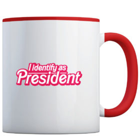 Accent Mug - 11oz