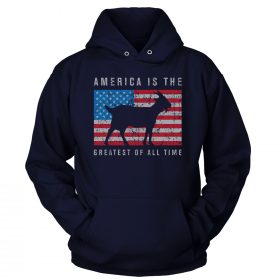 Premium Soft Hoodie