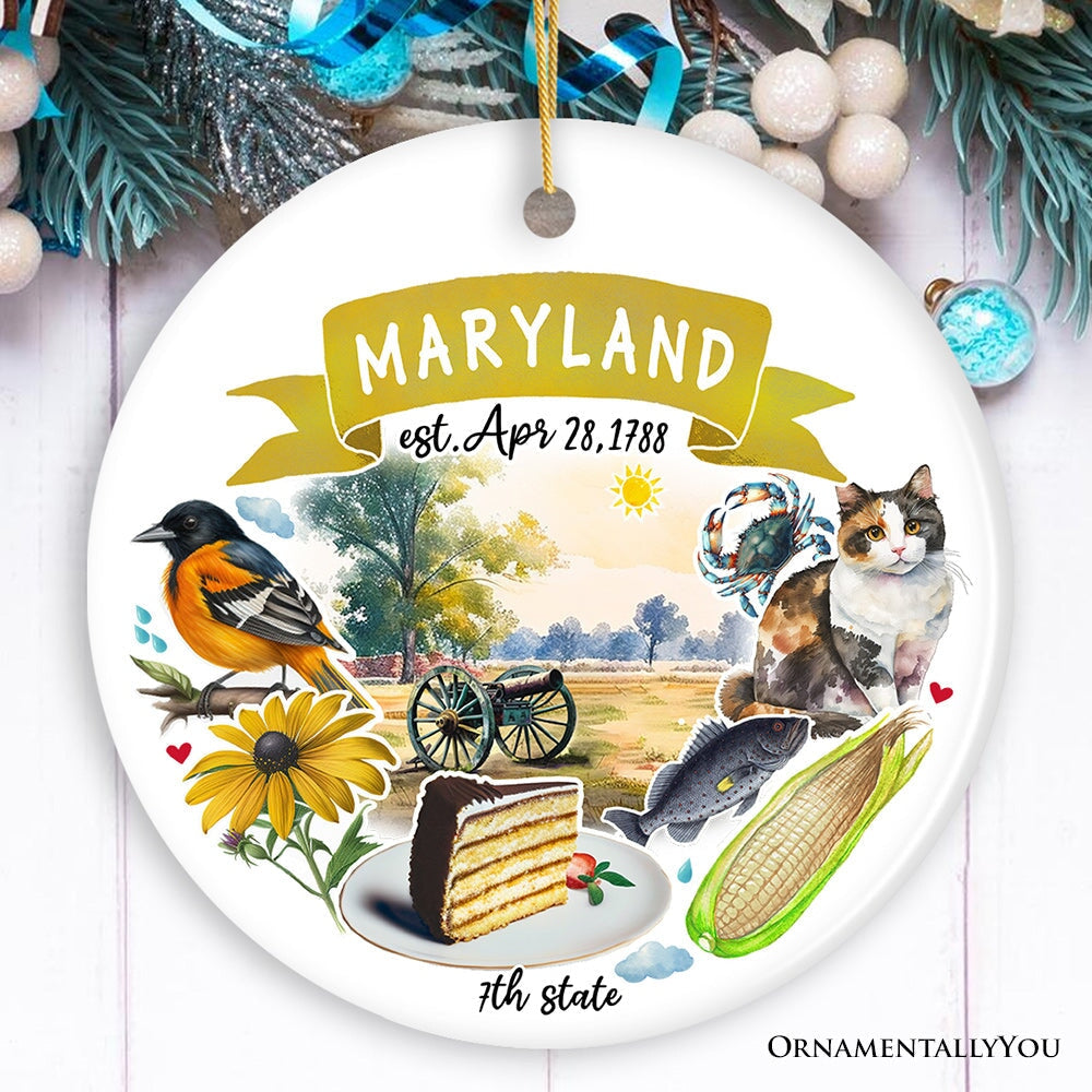 For_Product-01_Artistic_Maryland_State_Themes_and_Landmarks_Christmas_Ornament_Mockup_Group-05.jpg