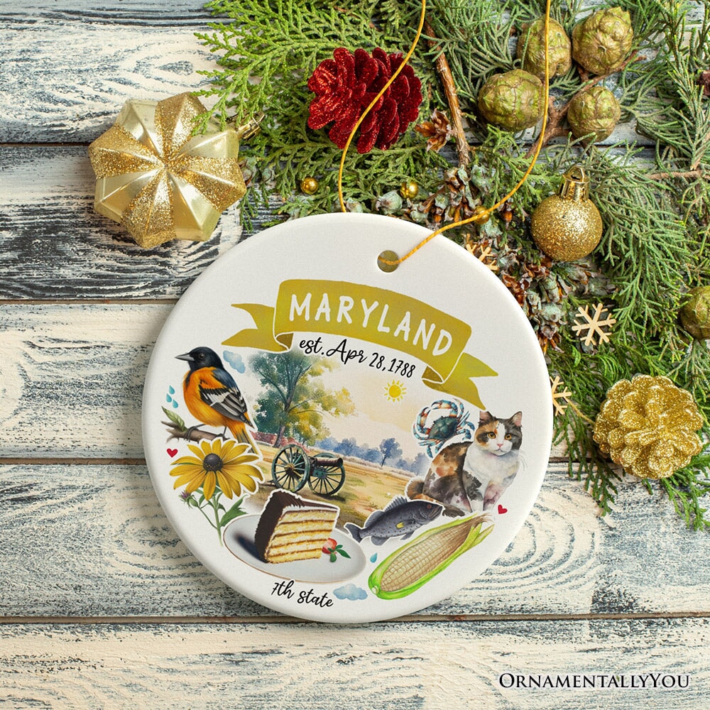 For_Product-02_Artistic_Maryland_State_Themes_and_Landmarks_Christmas_Ornament_3D_Realistic_Mockup-07.jpg