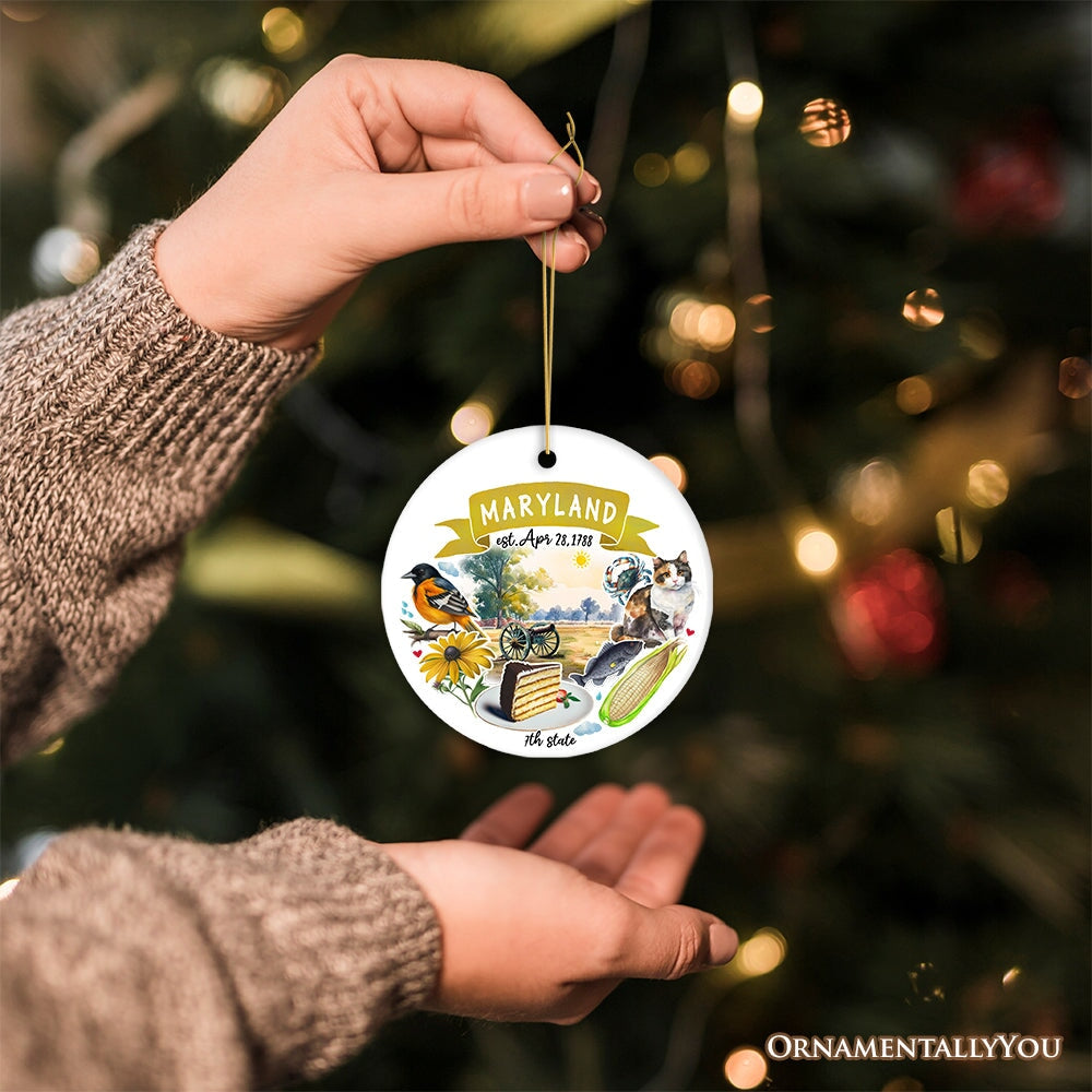 For_Product-03_Artistic_Maryland_State_Themes_and_Landmarks_Christmas_Ornament_3D_Human_Mockup-12.jpg