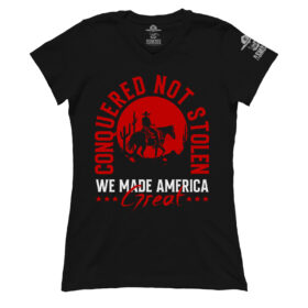 Premium Ladies V-Neck Tee