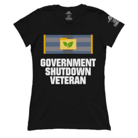 Premium Ladies V-Neck Tee